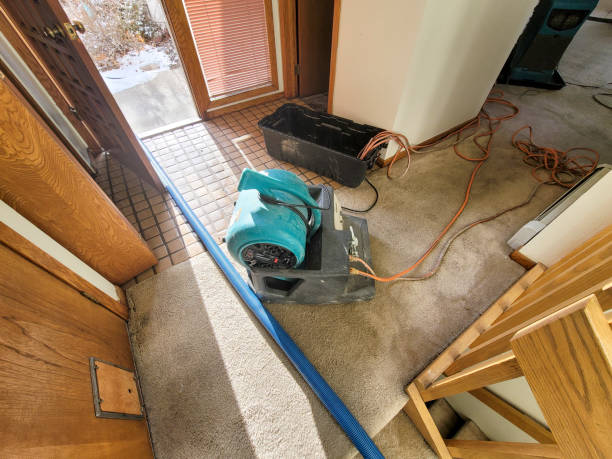 Trusted New Hope, MN Water damage restoration Experts